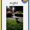 EYFS sets - Image 16