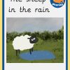 EYFS sets - Image 19